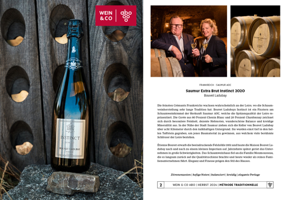 WCO Abo 2024 Herbst Web 297 x 2103