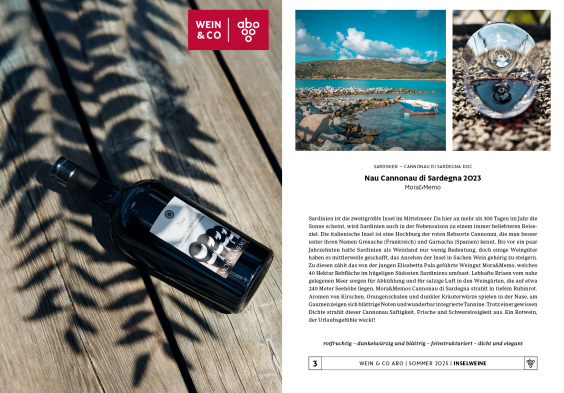 WCO Abo Sommer 2025 web4