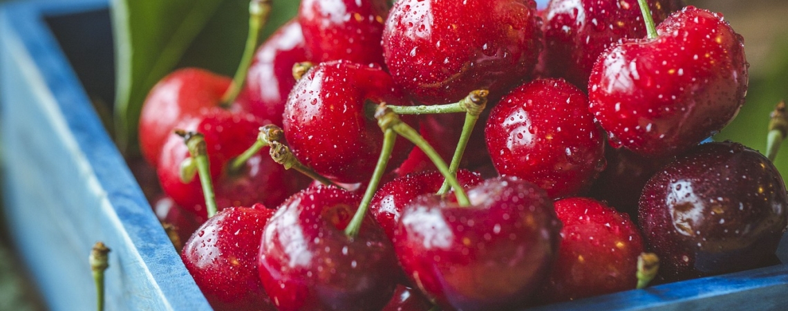 Frische rote Kirschen in einer blauen Holzschale, mit Wassertropfen bedeckt.