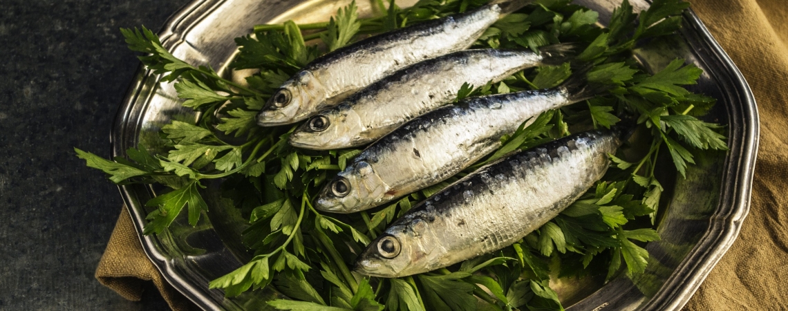 Vier frische Sardinen auf einem silbernen Teller mit Petersilie.