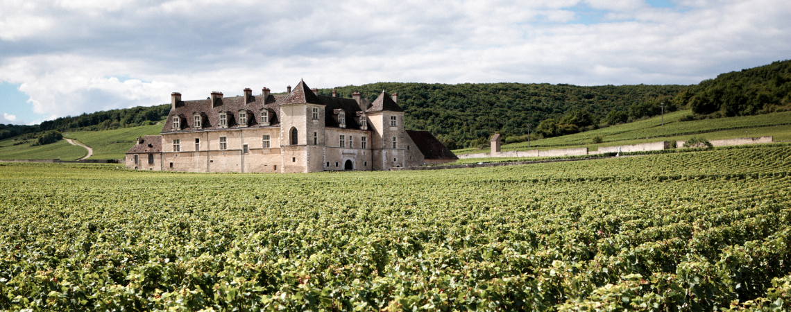 Weingut im Vordergrund, Schloss im Hintergrund, umgeben von grünen Hügeln und blauem Himmel.