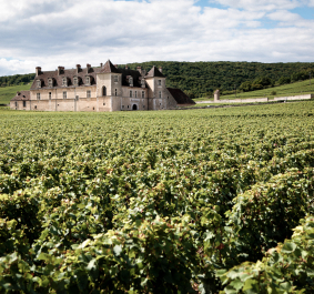 Weingut im Vordergrund, Schloss im Hintergrund, umgeben von grünen Hügeln und blauem Himmel.