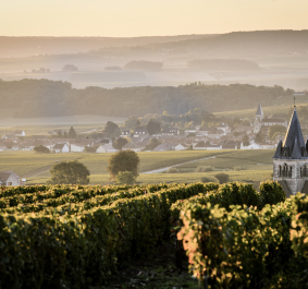Weinberge bei Sonnenuntergang, im Hintergrund ein malerisches Dorf mit Kirchturm.