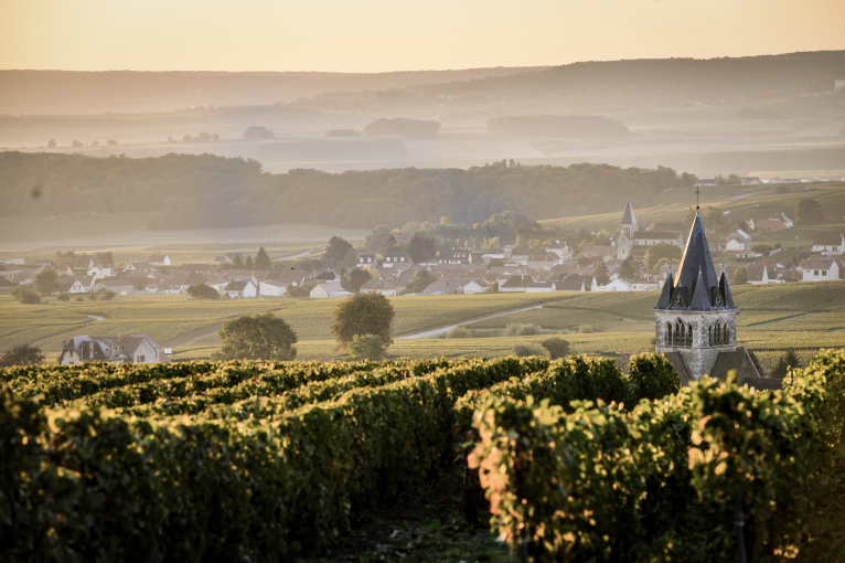 Weinberge bei Sonnenuntergang, im Hintergrund ein malerisches Dorf mit Kirchturm.