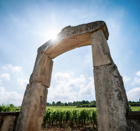 Steinbogen vor sonnigem Himmel, umgeben von Weinreben im Hintergrund.