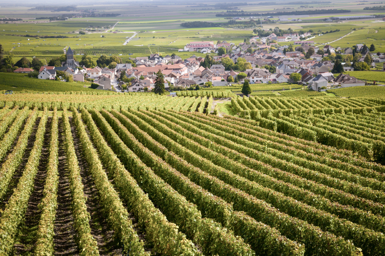 Weinberge in Reihen, mit Blick auf ein malerisches Dorf im Hintergrund.