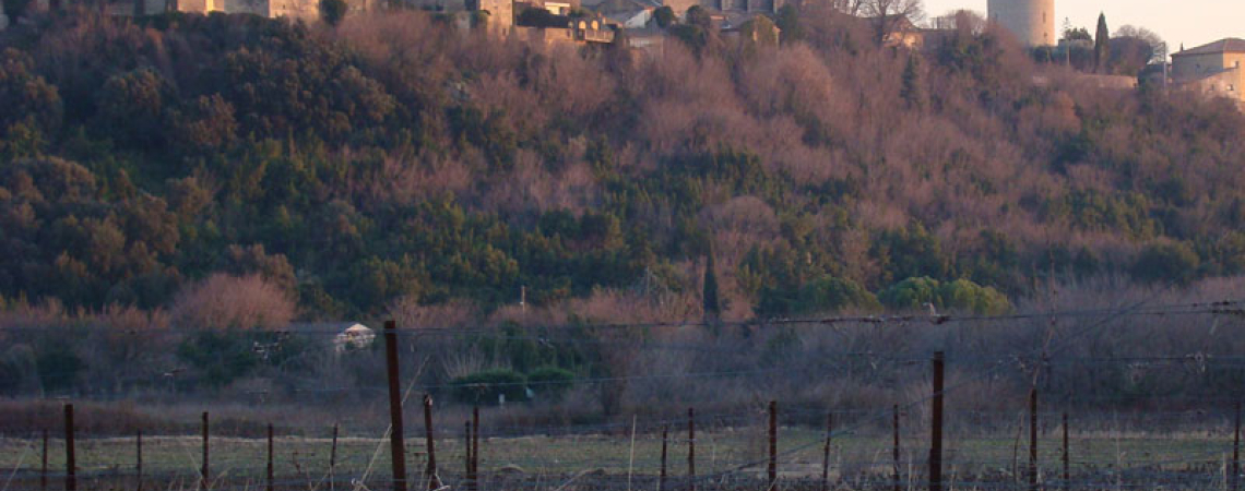 Weinberge vor einem malerischen Dorf auf einem Hügel bei Sonnenuntergang.