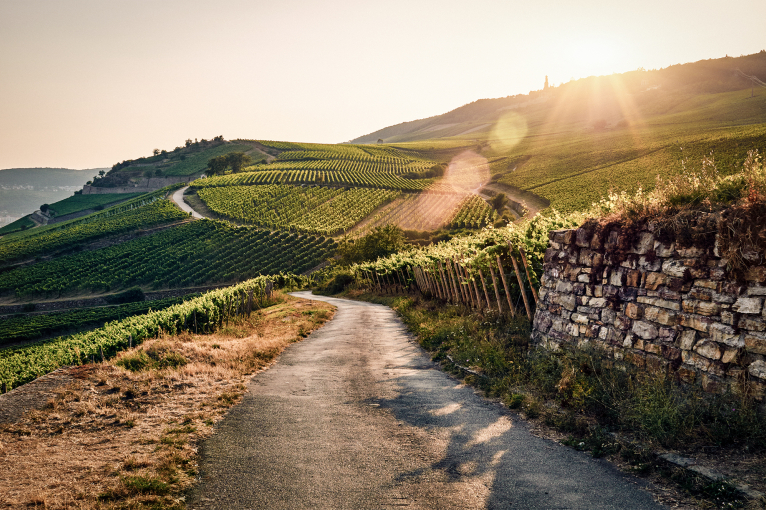 Sonnenuntergang über Weinbergen mit gewundener Straße und altem Steinzaun.