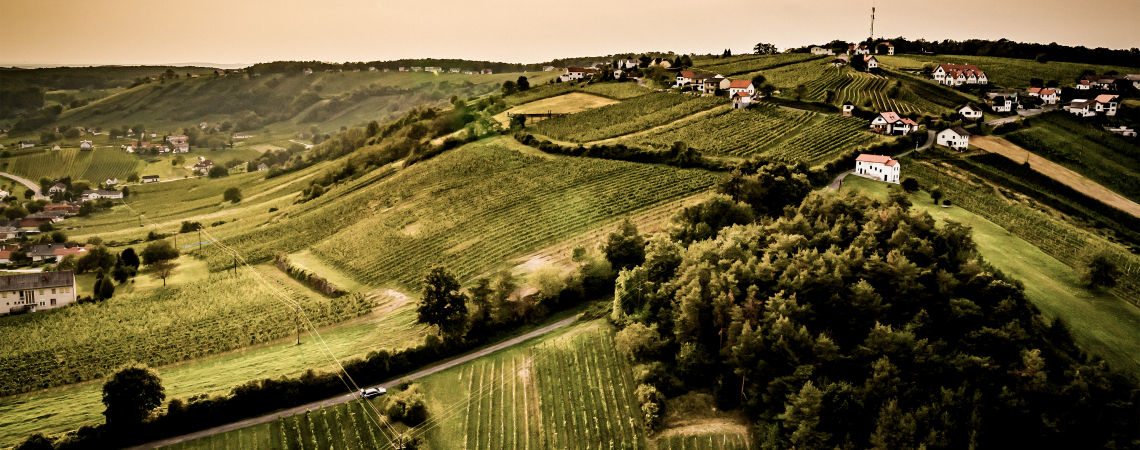 Hügelige Landschaft mit Weinbergen, vereinzelten Häusern und bewölktem Himmel bei Sonnenuntergang.