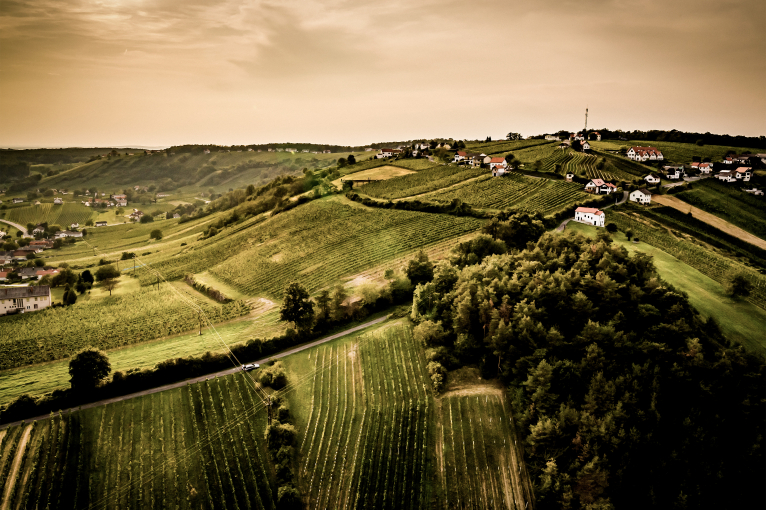 Hügelige Landschaft mit Weinbergen, vereinzelten Häusern und bewölktem Himmel bei Sonnenuntergang.