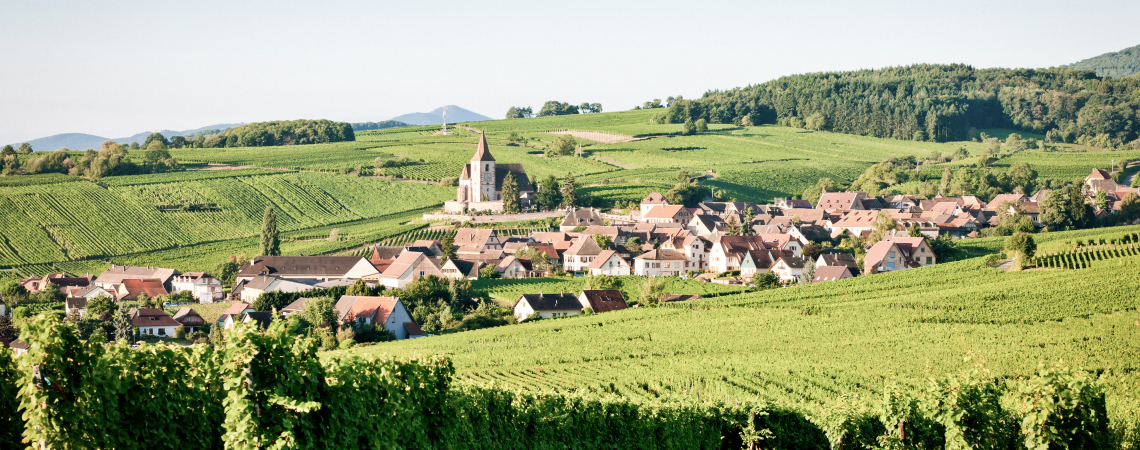 Idyllisches Dorf inmitten von grünen Weinbergen unter klarem Himmel.