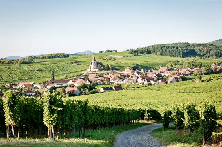 Idyllisches Dorf inmitten von grünen Weinbergen unter klarem Himmel.