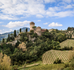 Historisches Schloss auf einem grünen Hügel mit umgebenden Weinbergen und bewölktem Himmel.