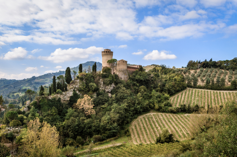 Historisches Schloss auf einem grünen Hügel mit umgebenden Weinbergen und bewölktem Himmel.