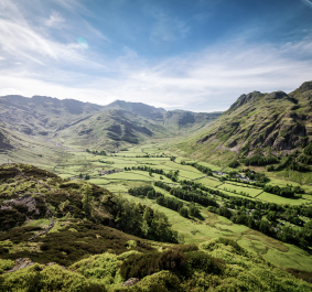 Grüne, hügelige Landschaft mit Bergpanorama und blauem Himmel im Hintergrund.