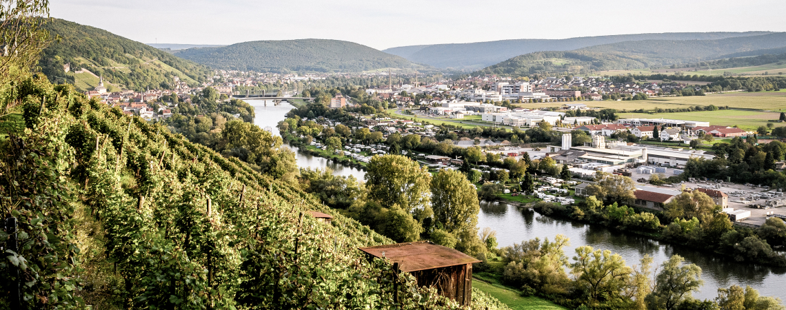 Weinberg auf Hügel, mit Fluss und Stadtlandschaft im Hintergrund.