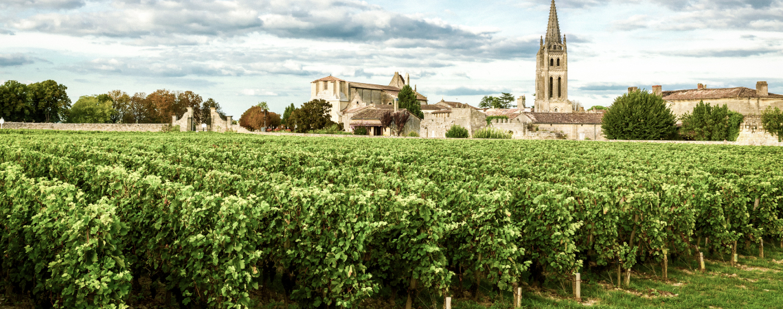 Historische Kirche und Gebäude hinter üppigem Weinberg unter wolkigem Himmel.