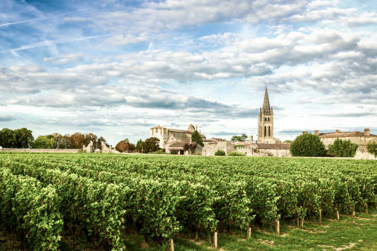 Historische Kirche und Gebäude hinter üppigem Weinberg unter wolkigem Himmel.