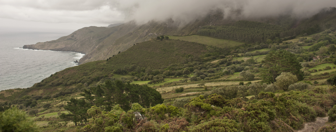 Küstenlandschaft mit grünen Hügeln und dichter, tiefer Wolkendecke.