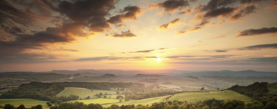 Grüne Hügellandschaft im Sonnenuntergang, mit Bäumen und weitläufigem Ausblick.
