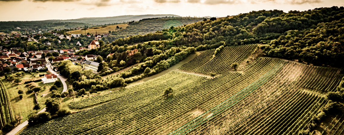 Luftaufnahme einer ländlichen Landschaft mit Weinbergen und einem kleinen Dorf.