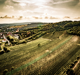 Luftaufnahme einer ländlichen Landschaft mit Weinbergen und einem kleinen Dorf.