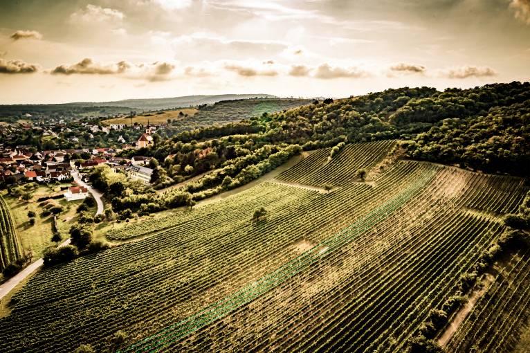 Luftaufnahme einer ländlichen Landschaft mit Weinbergen und einem kleinen Dorf.