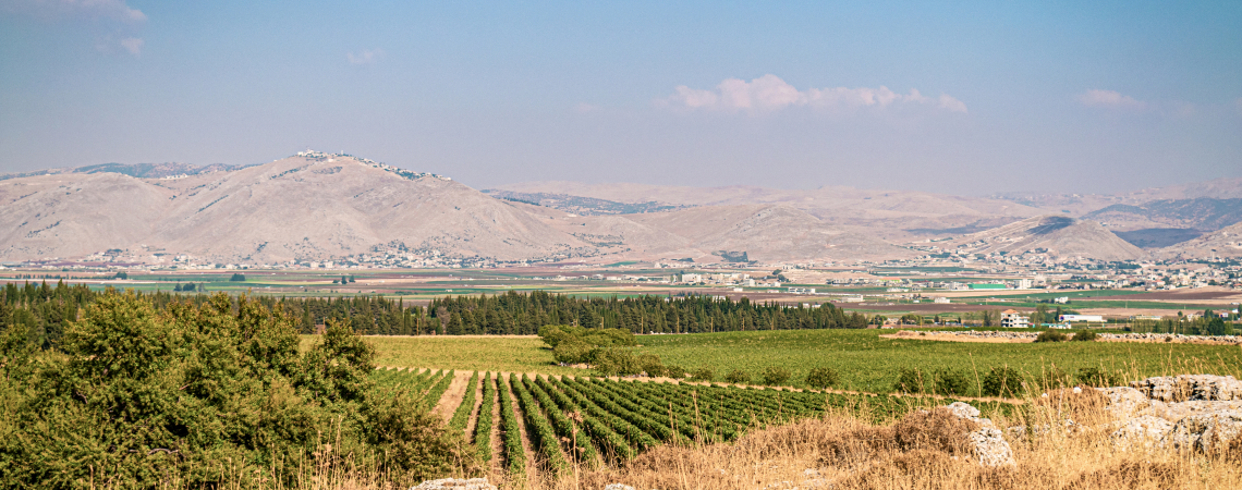 Weite Landschaft mit grünen Feldern, Hügeln und klarem, blauem Himmel.