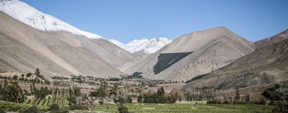 Grünes Tal mit schneebedeckten Bergen im Hintergrund unter blauem Himmel.