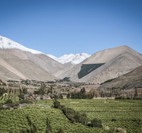 Grünes Tal mit schneebedeckten Bergen im Hintergrund unter blauem Himmel.