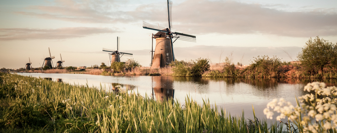 Historische Windmühlen an einem ruhigen Fluss mit grünem Ufergras.