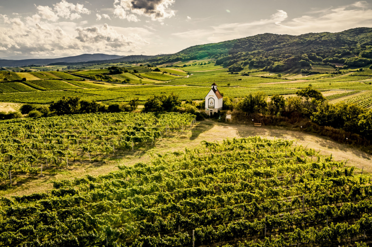 Weinberge mit kleiner Kirche in hügeliger Landschaft unter dramatischem Himmel.