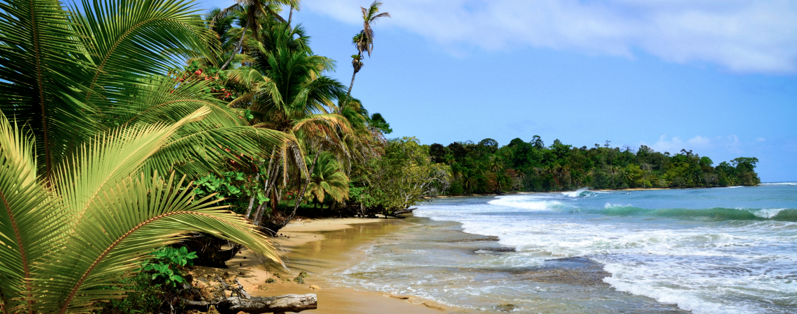 Tropischer Strand mit Palmen und Wellen unter blauem Himmel.