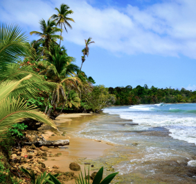 Tropischer Strand mit Palmen und Wellen unter blauem Himmel.
