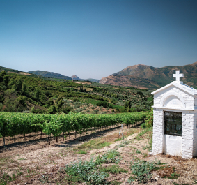 Weißes Steinkapellchen vor grünen Weinbergen und bewaldeten Hügeln bei klarem Himmel.