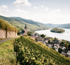 Weinberg mit Kirche und Dorf am Flussufer, umgeben von Hügeln und blauem Himmel.