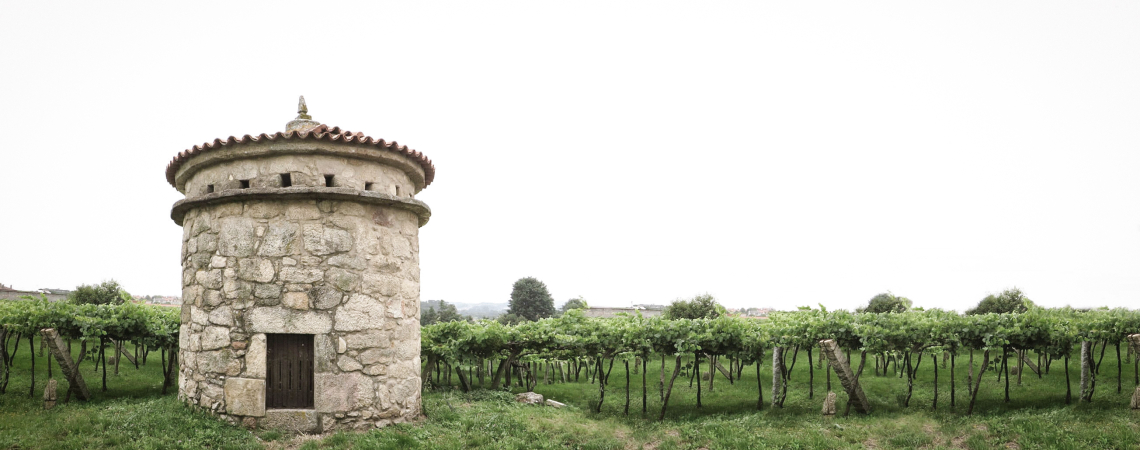 Runder Steinturm vor üppigen Weinfeldern im Freien.