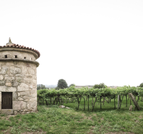 Runder Steinturm vor üppigen Weinfeldern im Freien.