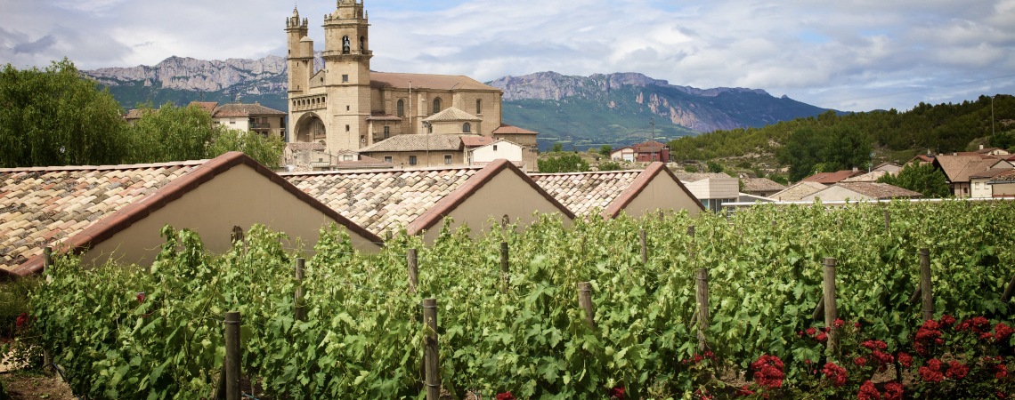 Weinberg mit alten Dachziegeln und Kirche vor bergiger Landschaft.