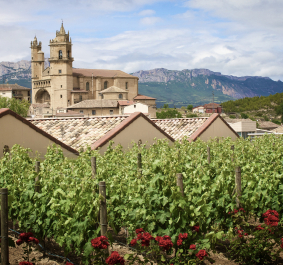 Weinberg mit alten Dachziegeln und Kirche vor bergiger Landschaft.