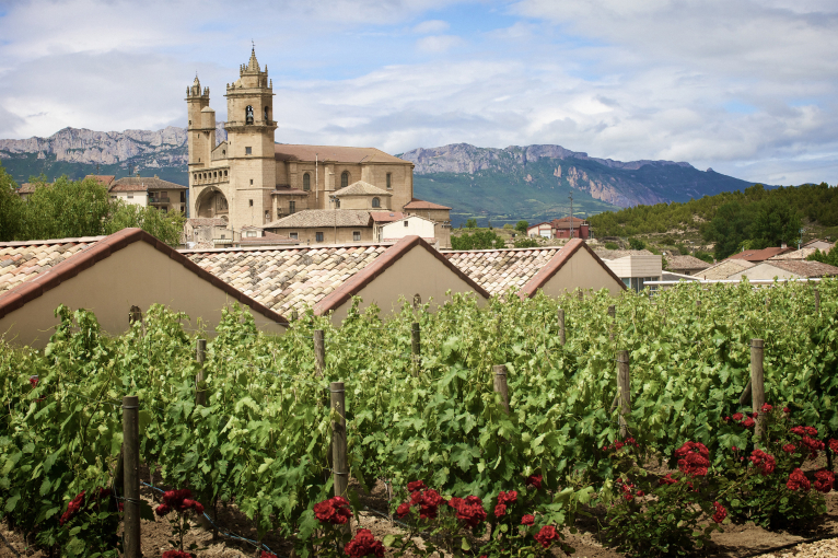 Weinberg mit alten Dachziegeln und Kirche vor bergiger Landschaft.