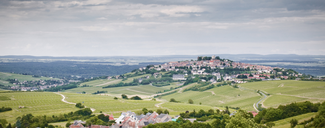 Hügelige Landschaft mit Weinbergen und einem Dorf im Vordergrund unter bedecktem Himmel.