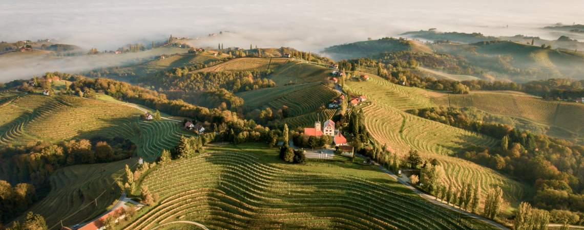 Hügelige Weinberge im Morgennebel mit vereinzelten Häusern und dichten Wäldern.
