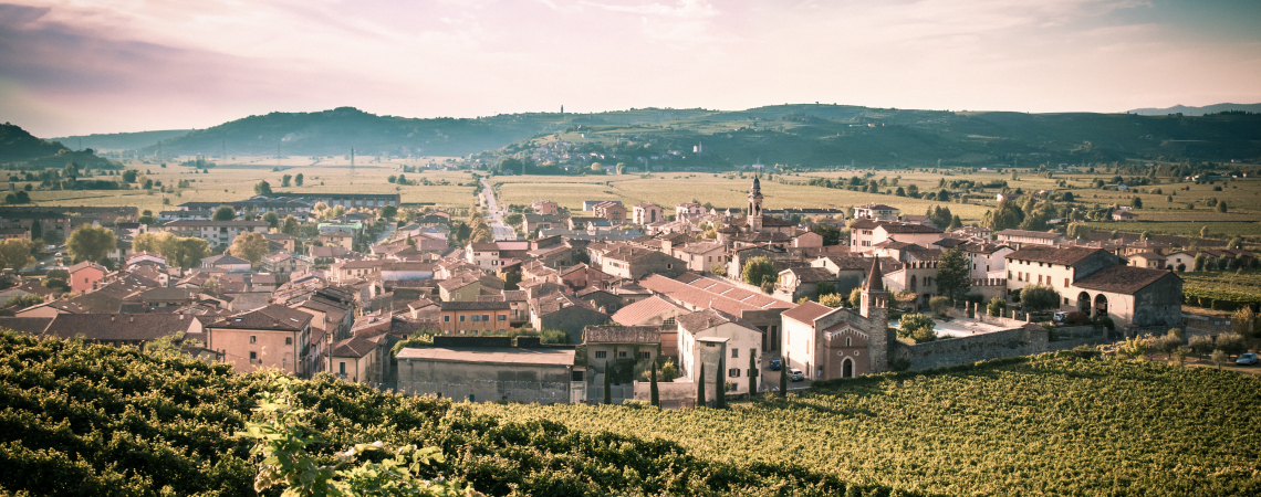 Kleines Dorf inmitten von grünen Weinbergen, umgeben von sanften Hügeln, unter klarem Himmel.