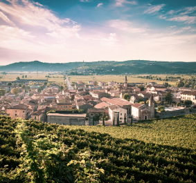 Kleines Dorf inmitten von grünen Weinbergen, umgeben von sanften Hügeln, unter klarem Himmel.