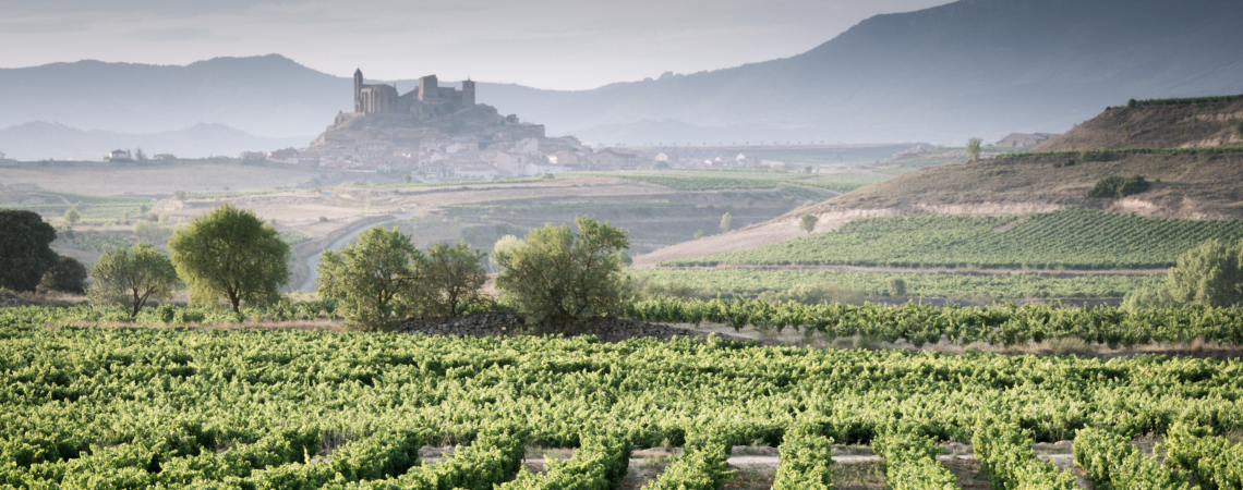Weinberge mit grünem Laub vor einem Hügel mit Burg im Hintergrund.