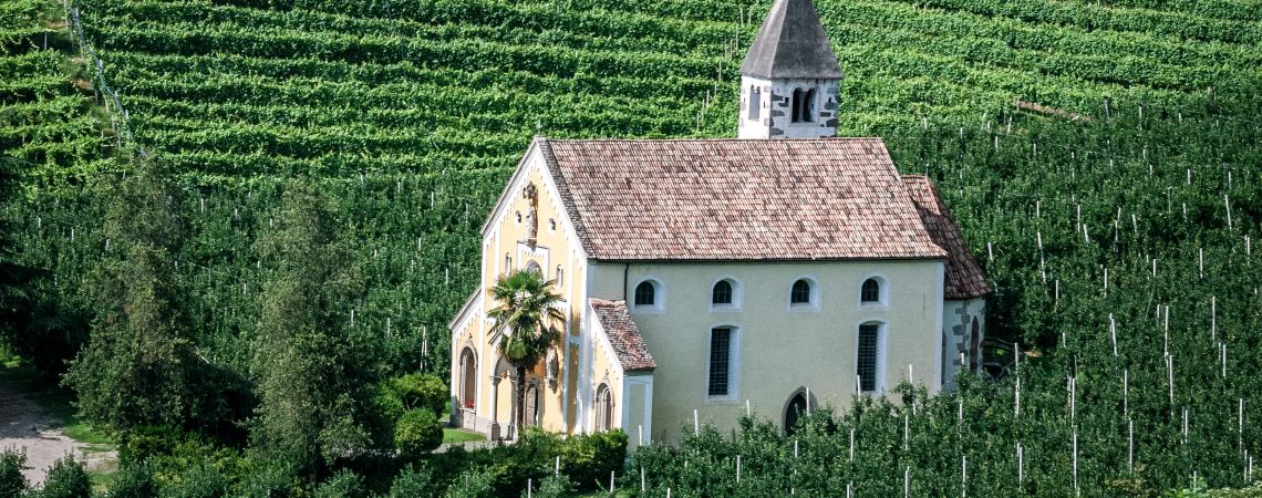 Gelbe Kirche mit rotem Dach vor üppigen, grünen Weinhängen.