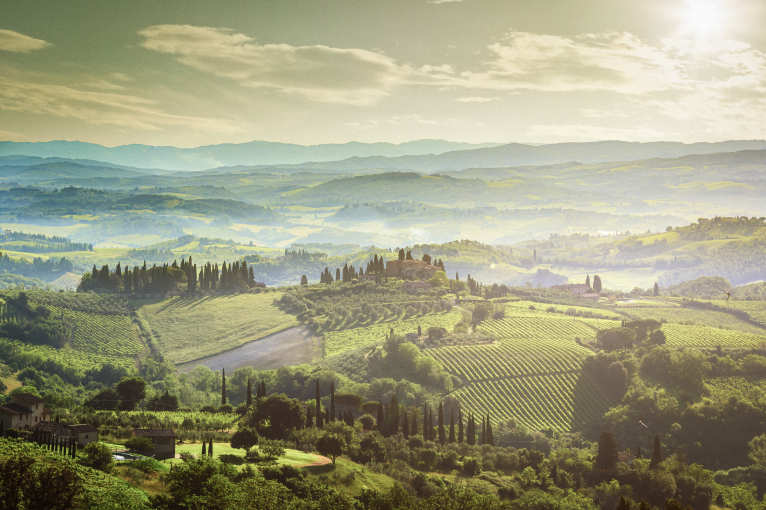 Sonnige, hügelige Landschaft mit grünem Weinberg und Zypressen unter bewölktem Himmel.