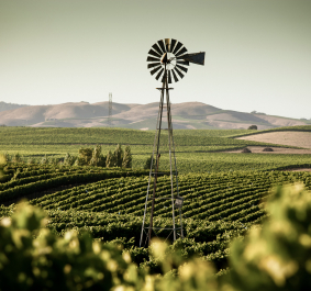 Windrad über grünen Feldern vor sanften Hügeln im Hintergrund.