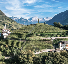 Blick auf malerische Weinberge mit traditionellen Häusern in bergiger Landschaft.